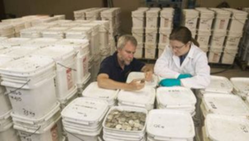 Varios trabajadores de la empresa Odyssey