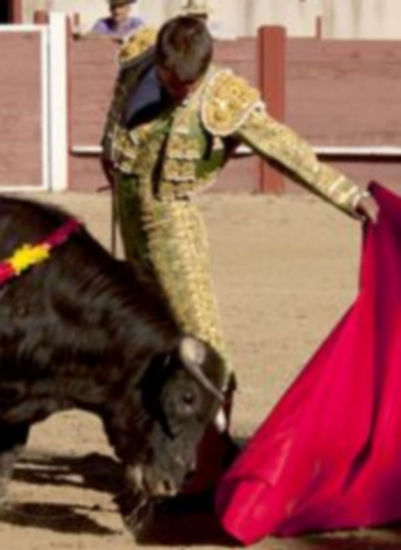 Pablo Atienza desgranó un toreo de bellos conceptos toreros. / Sara Hernández