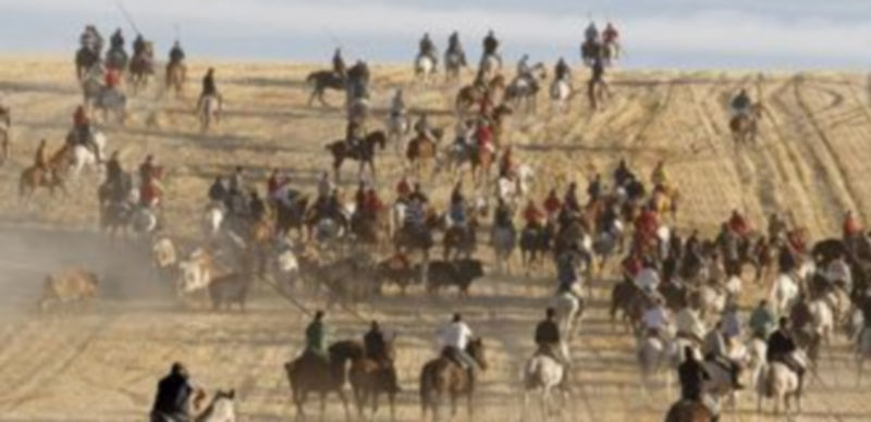 Caballistas durante el desarrollo del recorrido campestre de un encierro en la villa. / Gabriel Gómez