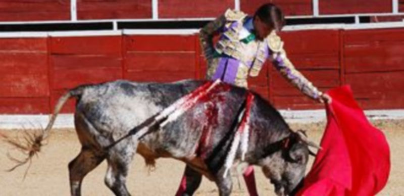 El peruano Roca Rey cuajó un toreo de arte y sentimiento aunque fue cogido por su primero. / A. Marugán