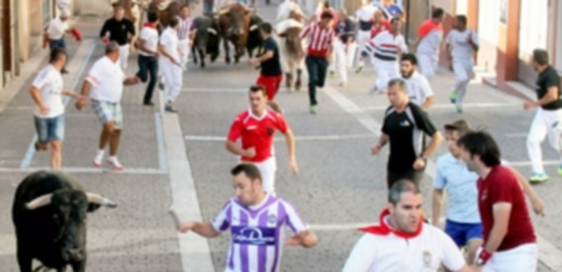 El PSOE ve “inadmisible” la presentación del ganado del miércoles. / C.N.