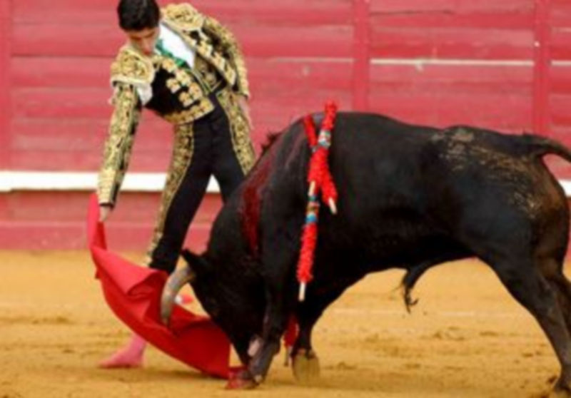 Víctor Barrio tiene importantes contratos para plazas de relevancia con posible alternativa en Cantalejo. /Alberto Benavente