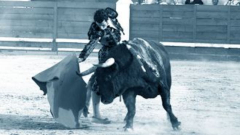 Morenito de Aranda durante su actuación en la feria taurina de Cantalejo. / F. Descalzo