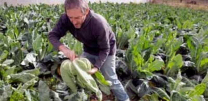 La agricultura ecológica sigue siendo minoritaria