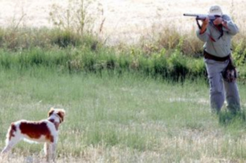 Un cazador se dispone a disparar su escopeta