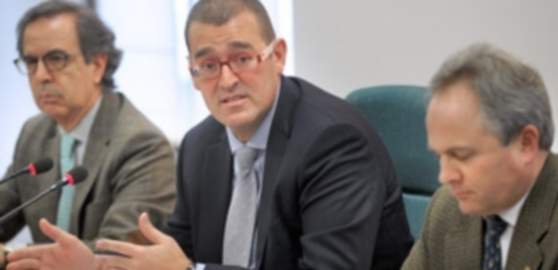 El delegado de la Junta en funciones