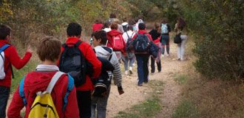 Andrés Laguna y Maristas fueron algunos de los colegios participantes. / E.A