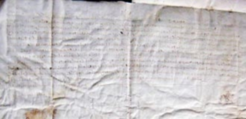 La pieza puede contemplarse del 15 de febrero al 11 de marzo. / El Adelantado