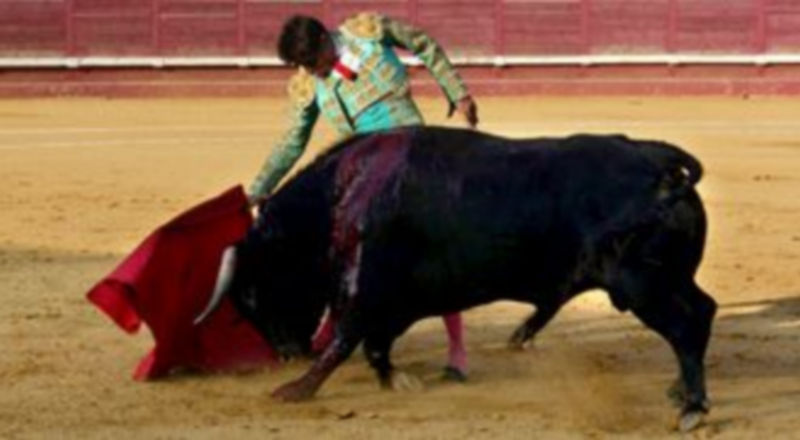 Miguel Tendero repite en la feria cantalejana. / Florentino Descalzo