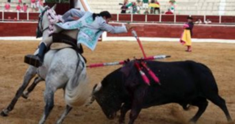 La rejoneadora lusitana Ana Rita será galardonada en Carbonero. / El Adelantado