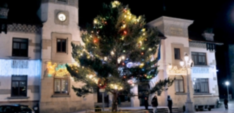 EL ESPINAR. El pino sigue presidiendo la Plaza ante el Ayuntamiento. / PEDRO L. MERINO