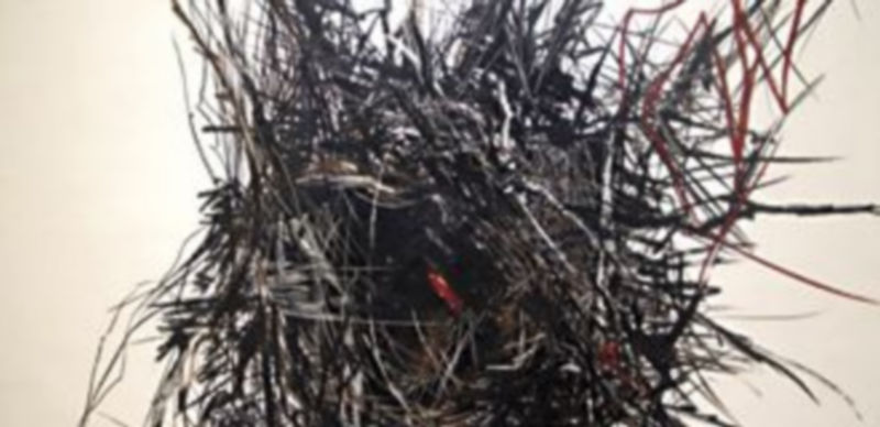 Sel Jiménez. Nidos (2009). Técnica mixta sobre papel. 70 x 90 cms.