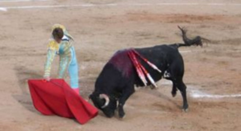 Manuel Escribano actuará como único espada en el Real Sitio de San Ildefonso el día 24 de agosto. / Pablo Pastor