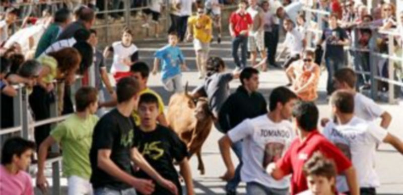 La suelta de vaquillas es la actividad más tradicional de la festividad del patrón de la villa. / Gabriel Gómez