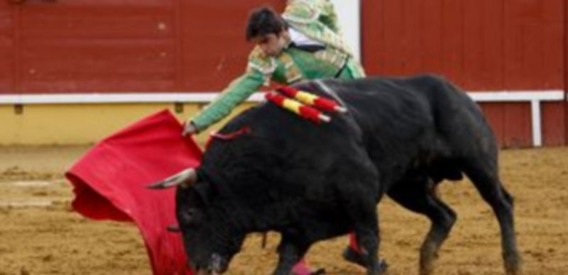 Los socialistas reclaman información detallada de la organización de los festejos y encierros de 2011./gabriel gómez