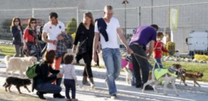 Los propietarios deben recoger los excrementos sólidos que los perros depositen. / Gabriel Gómez