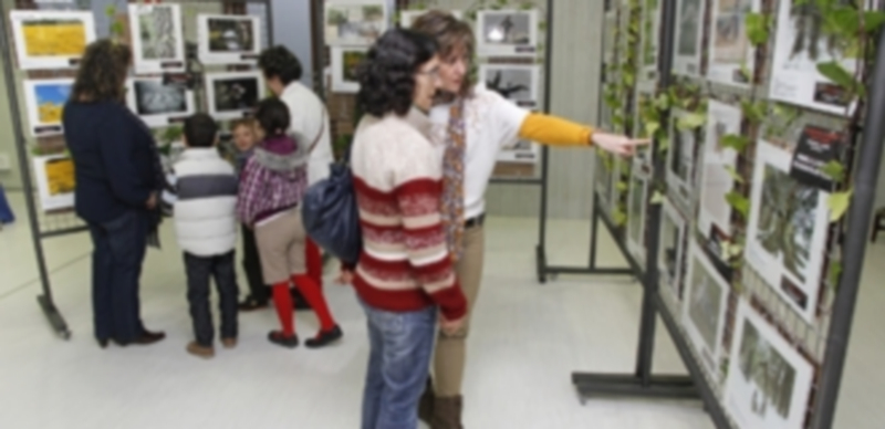 La exposición podrá visitarse del 10 al 31 de mayo en la sala Alfonsa de la Torre. / Gabriel Gómez