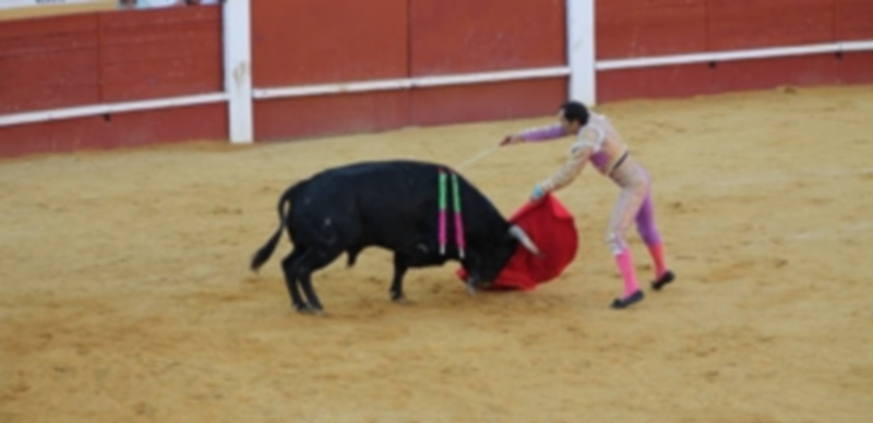 Las entradas para la corrida del miércoles tendrán un precio entre los 24 y los 81 euros. / Luis Tejero