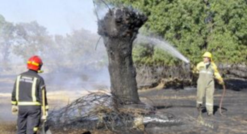 El operativo regional de incendios está compuesto por más de 4.000 profesionales en Castilla y León. / Juan Martín