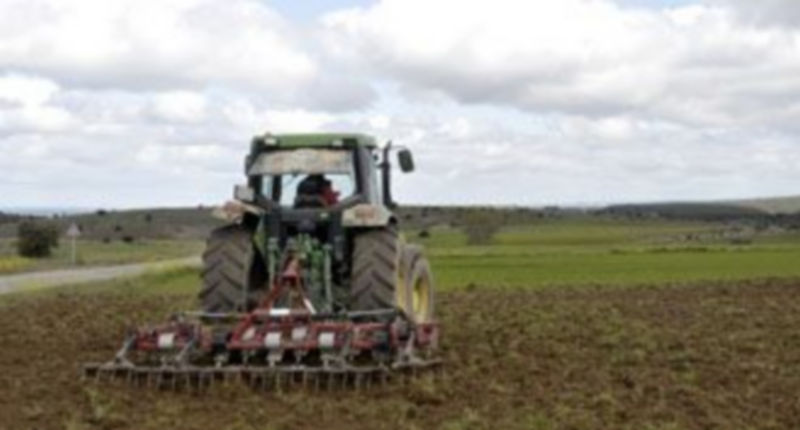 El grupo socialista quiere garantizar las ayudas a los profesionales del campo. / Juan Martín