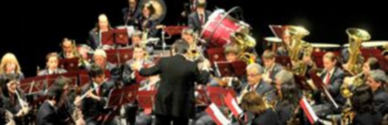 Actuación de la Banda de Nava de la Asunción que ha cerrado el ciclo de conciertos en el Teatro Juan Bravo./ Kamarero