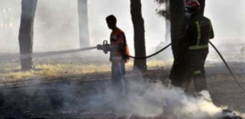 El primer incendio de relevancia que tiene lugar en Segovia este año calcinó alrededor de 20 hectáreas