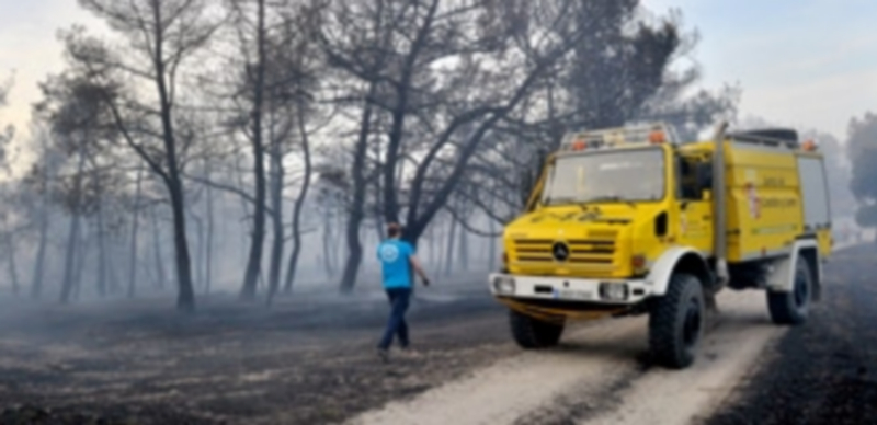 Los trabajos selvícolas preventivos tienen por finalidad evitar escenas como las vividas en pasados veranos. / Kamarero