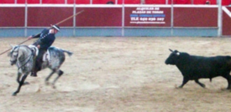 El rejoneador galardonado Sebastián Fernández toreando a caballo al novillo mejor de la feria del Bustar. / Adela Herrero