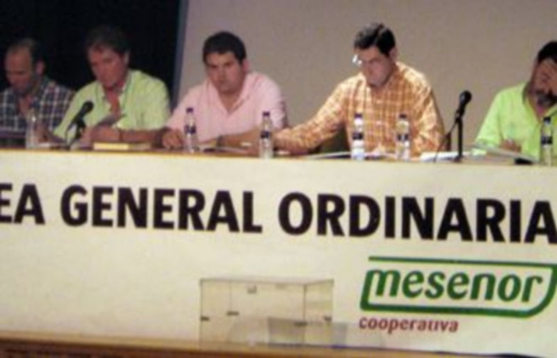 Imagen de archivo de una asamblea de la cooperativa. /EL ADELANTADO