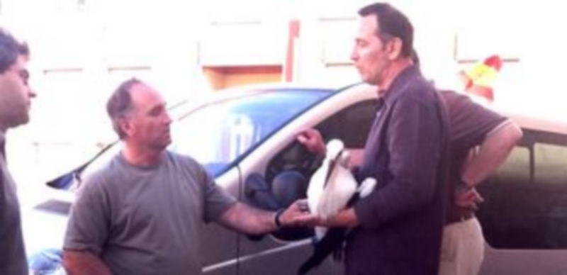 Un grupo de vecinos con la cría de cigüeña rescatada./ El Adelantado