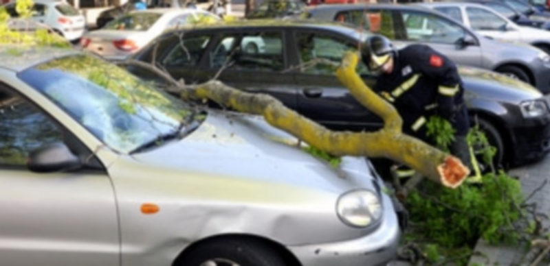 La rama cayó sobre dos coches aparcados en la acera que linda con la Base Mixta. / Javier Segovia