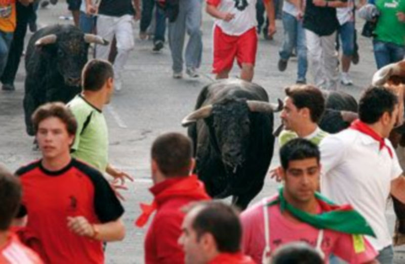 Un encierro celebrado en la villa de Cuéllar. / GABRIEL GÓMEZ