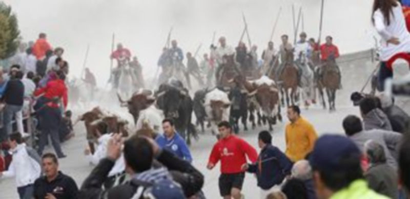 Imagen de uno de los encierros celebrado en la pasadas fiestas de Cuéllar. / GABRIEL GÓMEZ