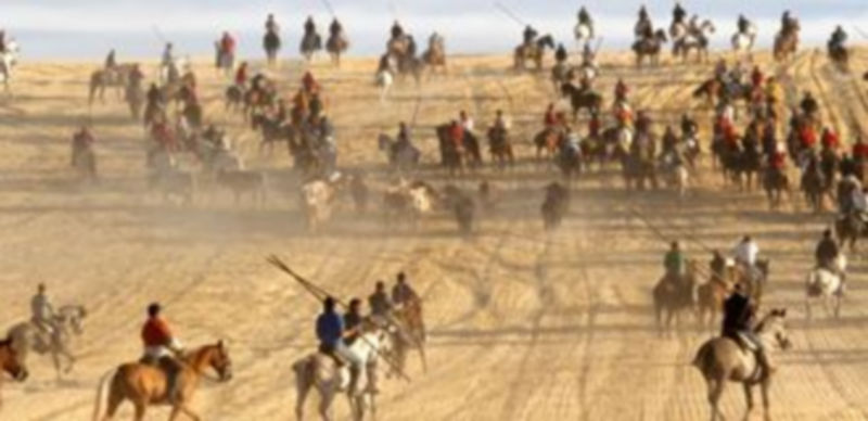 Los colectivos piden que el documento sea consensuado como ya sucedió en 1994. / Gabriel Gómez