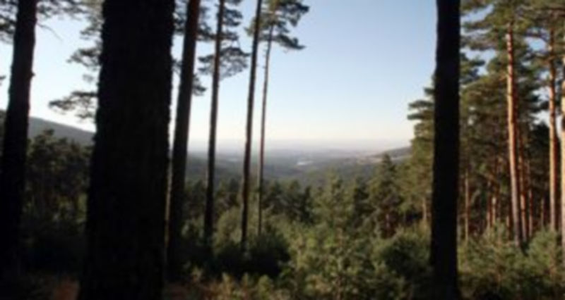 La larga tramitación del parque nacional de Guadarrama acabará el próximo jueves en el Congreso. / El Adelantado