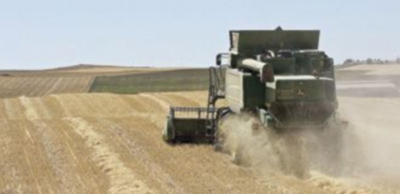 Cosechadora en un campo de cereal de la provincia de Zamora. / J. L. LEAL (ICAL)