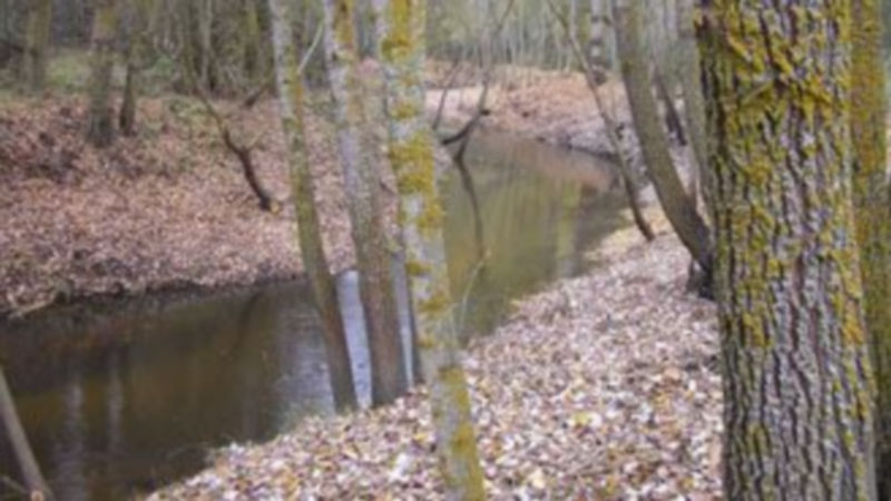 Las jornadas de campo se celebrarán los días 17 y 24 de octubre. /EL ADELANTADO