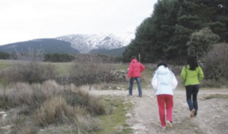 Unos excursionistas caminan por uno de los paseos que tiene la Sierra de Guadarrama en la provincia de Segovia. / El Adelantado