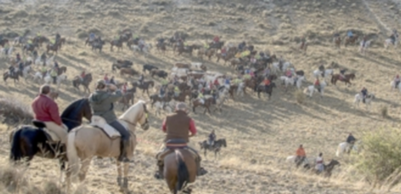 Fotografía ganadora del XXXI Concurso de Fotografía Fiestas de Cuéllar./ carlos mediavilla