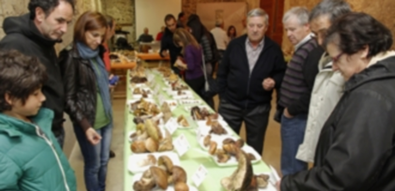 Muchos aficionados y curiosos se acercaron ayer a recorrer la exposición en Pedro I./Gabriel Gómez