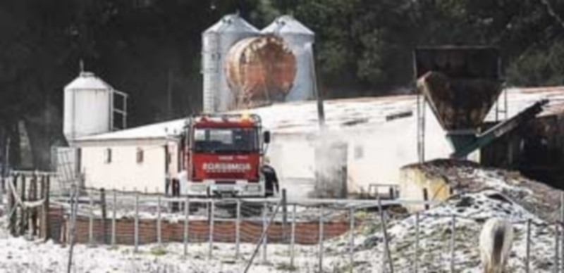 Los bomberos intervinieron en la nave siniestrada./ F.Descalzo