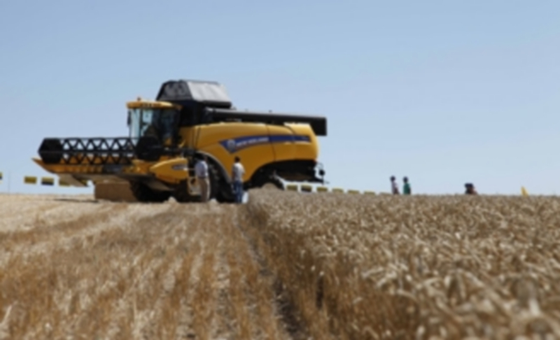 Una cosechadora trabajando en una explotación de la provincia. / DIEGO DE MIGUEL