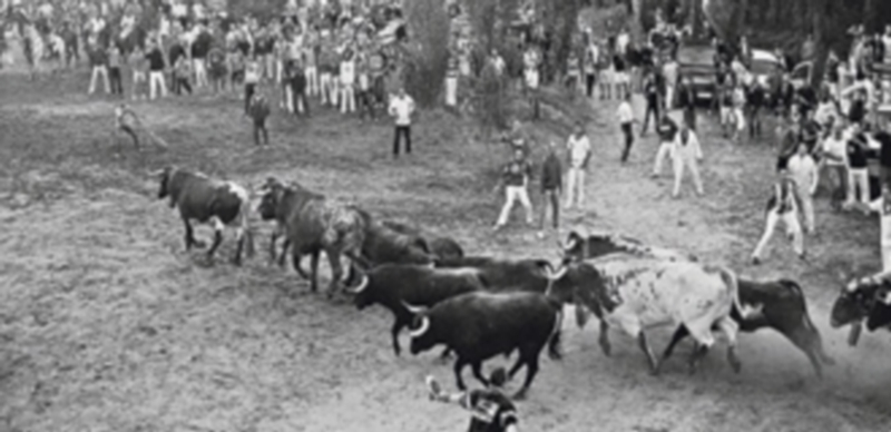 Fotografía ganadora en 2014