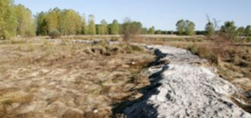 Imagen del dique que los operarios municipales han realizado en el humedal./Gabriel Gómez