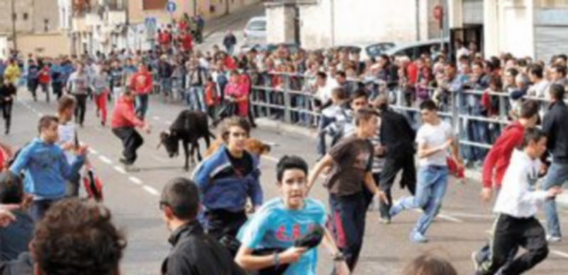 La suelta de vaquillas es una de las actividades más esperada por los cuellaranos. /Gabriel Gómez