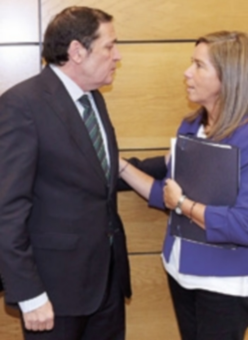 El consejero de Sanidad