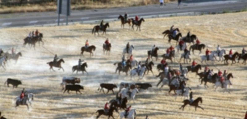 Un grupo de caballistas participando en un encierro. / Chantal Núñez