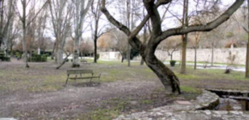 El Parque de la Huerta del Duque