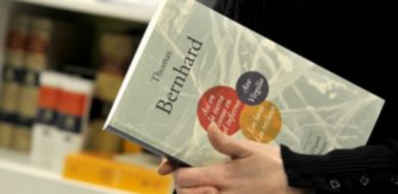 El nuevo libro del sello editorial segoviano La Uña Rota tiene un precio de venta de 14 euros. / Alberto Benavente