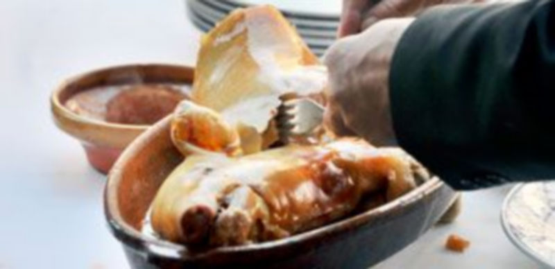 El cochinillo gana altura 1 El cochinillo